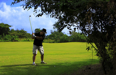 Image showing Golfer