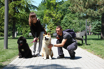 Image showing Posing dogs