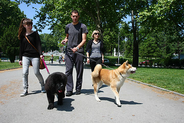 Image showing Walking with puppies