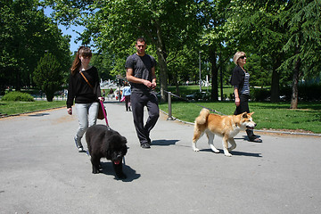 Image showing Walking with puppies