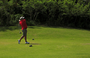 Image showing Golfer with driver