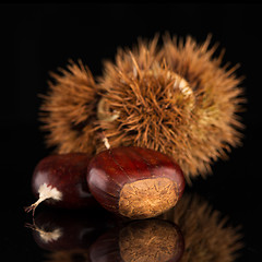 Image showing Chestnuts on a black reflective background