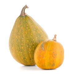 Image showing Pumpkins