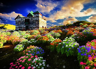 Image showing Beautiful landscape with flowers