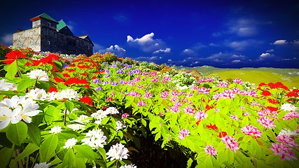 Image showing Beautiful landscape with flowers