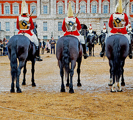 Image showing in london england horse and cavalry for    the queen