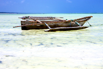 Image showing zanzibar beach  seaweed in indian ocean tanzania    sand 