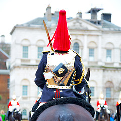 Image showing in london england horse and cavalry for    the queen