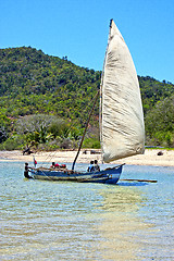 Image showing pirogue beach seaweed  indian ocean madagascar  people   