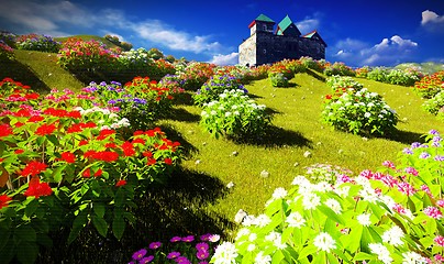 Image showing Beautiful landscape with flowers