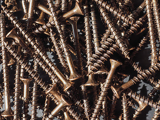 Image showing Wood screw