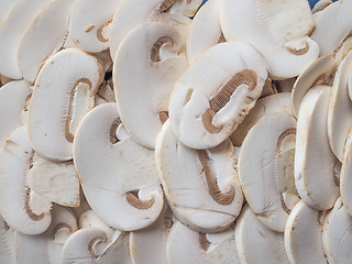 Image showing Champignon mushrooms background