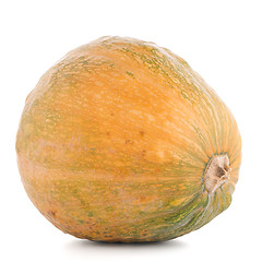 Image showing Pumpkin