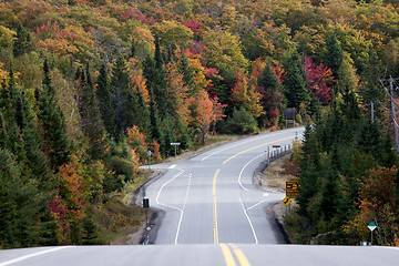 Image showing Algonquin Park Muskoka Ontario Road