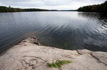 Image showing Algonquin Park Muskoka Ontario Lake Wilderness