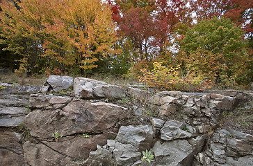 Image showing Algonquin Park Muskoka Ontario