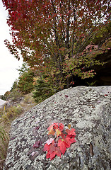 Image showing Algonquin Park Muskoka Ontario