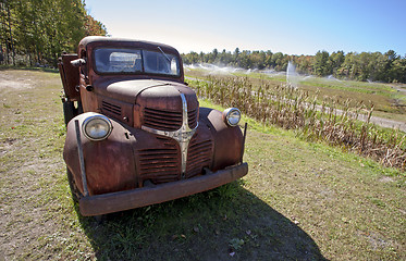 Image showing Cranberry Fields in Bala Ontario