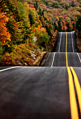 Image showing Algonquin Park Muskoka Ontario Road