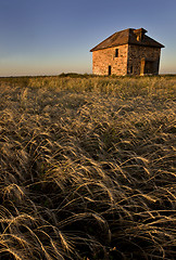 Image showing Abandoned Stone House