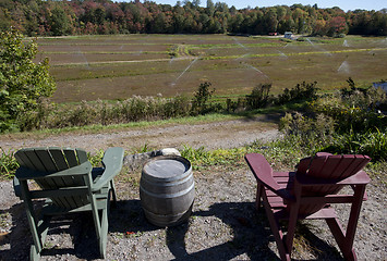 Image showing Cranberry Fields in Bala Ontario