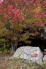 Image showing Algonquin Park Muskoka Ontario