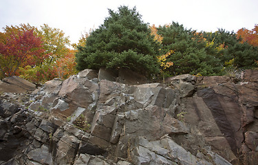 Image showing Algonquin Park Muskoka Ontario