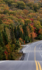 Image showing Algonquin Park Muskoka Ontario Road