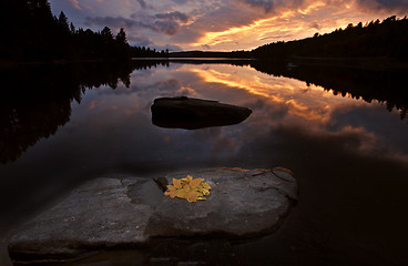 Image showing Algonquin Park Muskoka Ontario Lake Wilderness