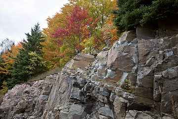 Image showing Algonquin Park Muskoka Ontario