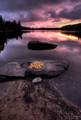 Image showing Algonquin Park Muskoka Ontario Lake Wilderness