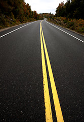 Image showing Algonquin Park Muskoka Ontario Road