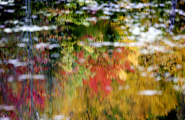 Image showing Algonquin Park Muskoka Ontario