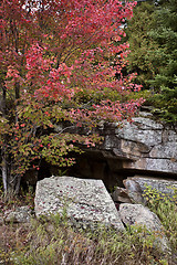 Image showing Algonquin Park Muskoka Ontario