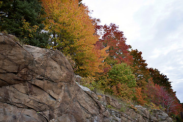 Image showing Algonquin Park Muskoka Ontario