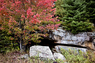 Image showing Algonquin Park Muskoka Ontario