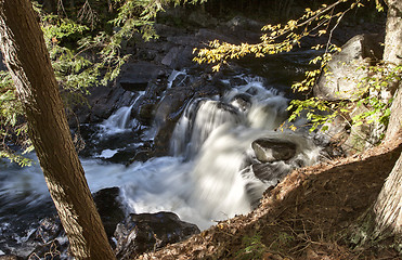 Image showing Algonquin Park Muskoka Ontario