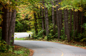 Image showing Algonquin Park Muskoka Ontario Road