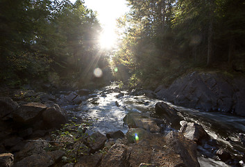 Image showing Algonquin Park Muskoka Ontario