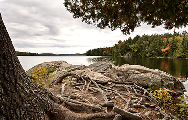 Image showing Algonquin Park Muskoka Ontario Lake Wilderness