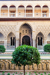 Image showing Seville Alcazar Garden