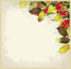Image showing Greeting card with autumn berries and leaves. Autumn illustratio