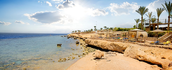 Image showing Coral reefs on beach