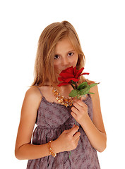 Image showing Lovely girl holding up a red roses.