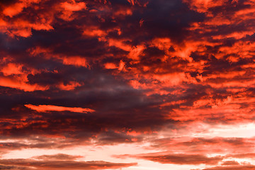 Image showing Sky, clouds and afterglow