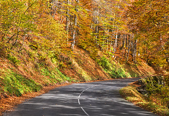 Image showing Autumn Road