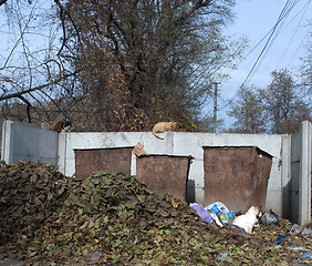 Image showing trash cans and lots of leaves