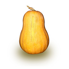 Image showing yellow ripe pumpkin