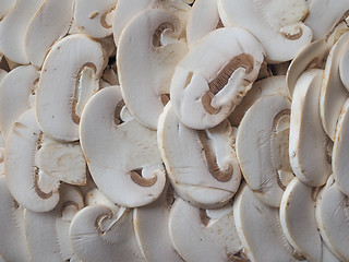 Image showing Champignon mushrooms background