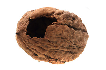 Image showing damaged walnut isolated 